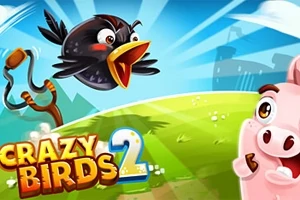 Promotiebeeld van Crazy Birds 2 met een boze zwarte vogel en een verbaasd uitziende roze varken op een grasrijke achtergrond