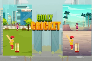 Gully Cricket