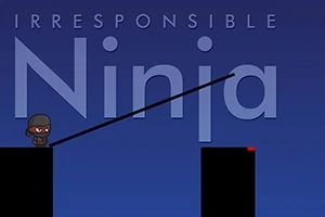 Irresponsible Ninja