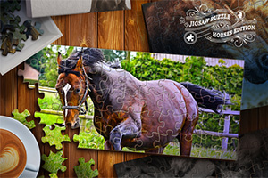 Als je van leuke paardenspelletjes en legpuzzels houdt, zul je dol zijn op dit ontspannende puzzelspel