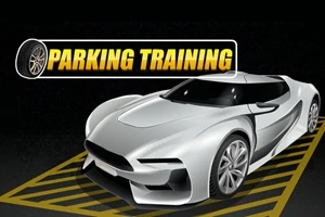 Parking Training