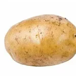 Foto van een enkele rauwe aardappel op een witte achtergrond