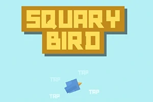 Squary Bird