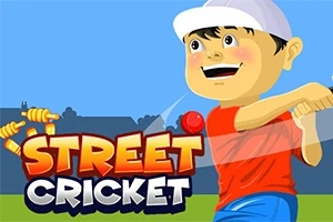 Street Cricket