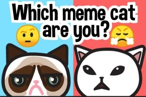 Vind jouw meme kat: Emoji quiz