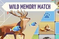 Wild Memory Match