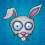 bunny rabbit